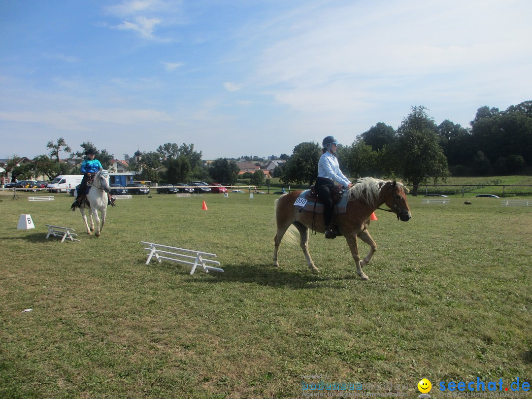 Westernreiter D-Turnier: Aach-Linz am Bodensee, 18.08.2013