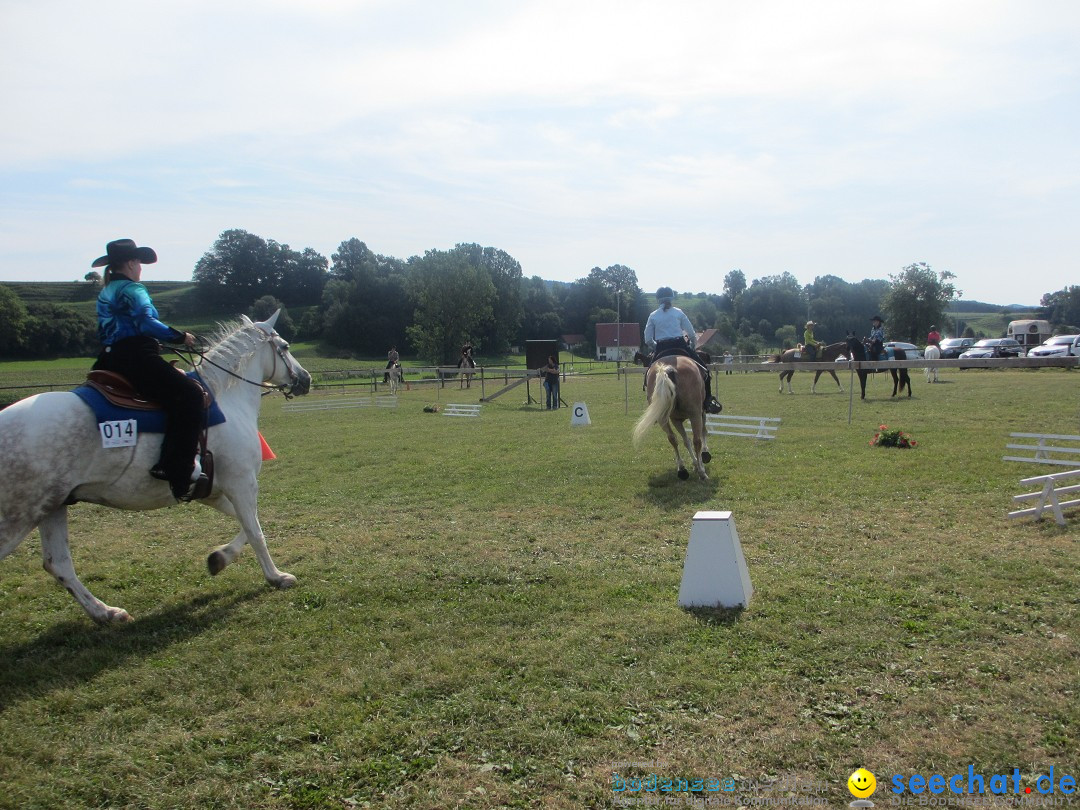 Westernreiter D-Turnier: Aach-Linz am Bodensee, 18.08.2013