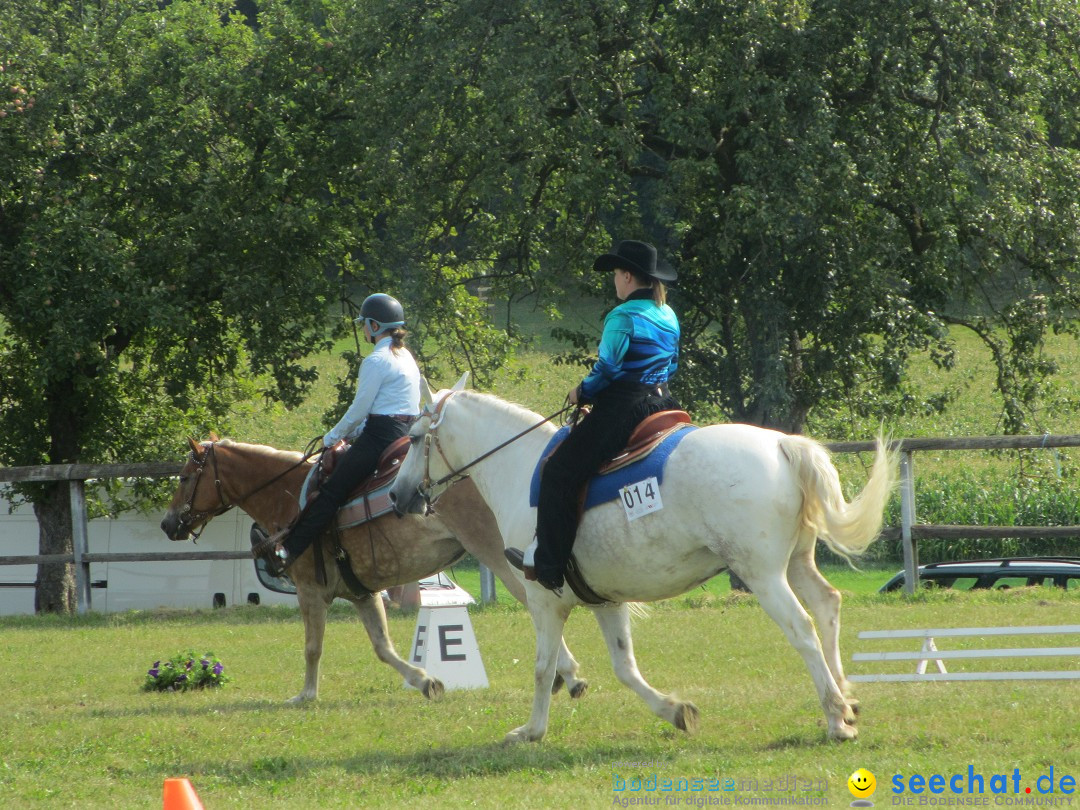 Westernreiter D-Turnier: Aach-Linz am Bodensee, 18.08.2013