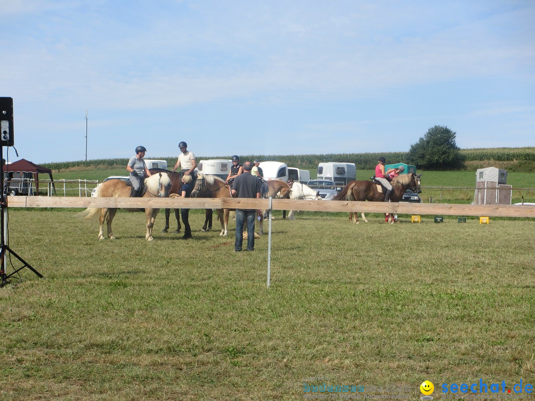 Westernreiter D-Turnier: Aach-Linz am Bodensee, 18.08.2013