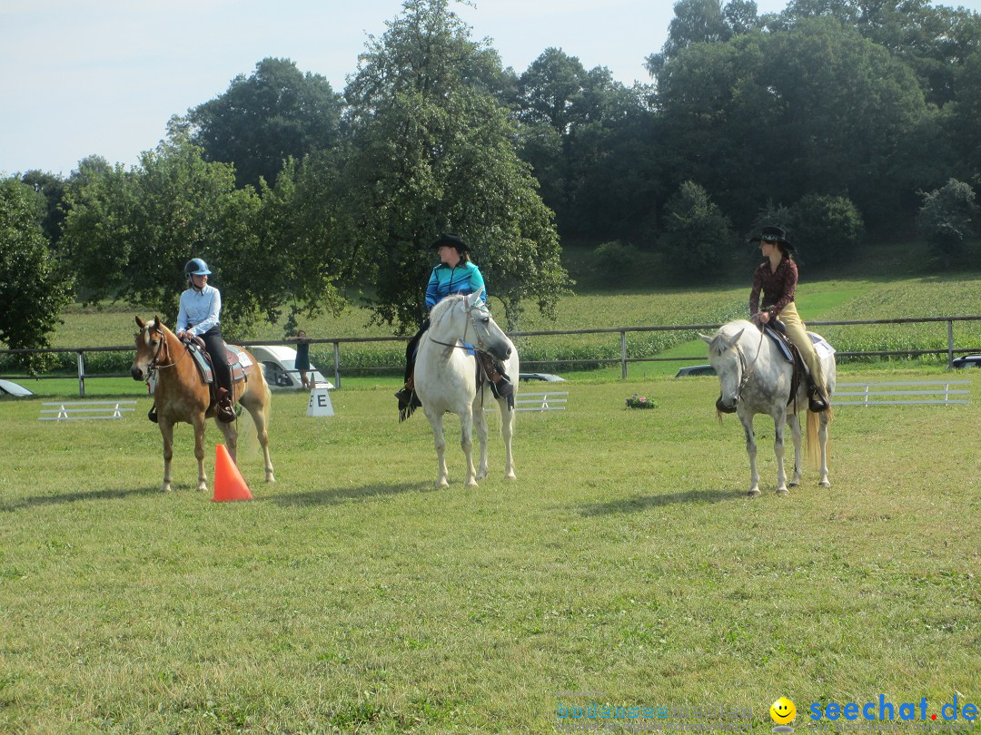 Westernreiter D-Turnier: Aach-Linz am Bodensee, 18.08.2013