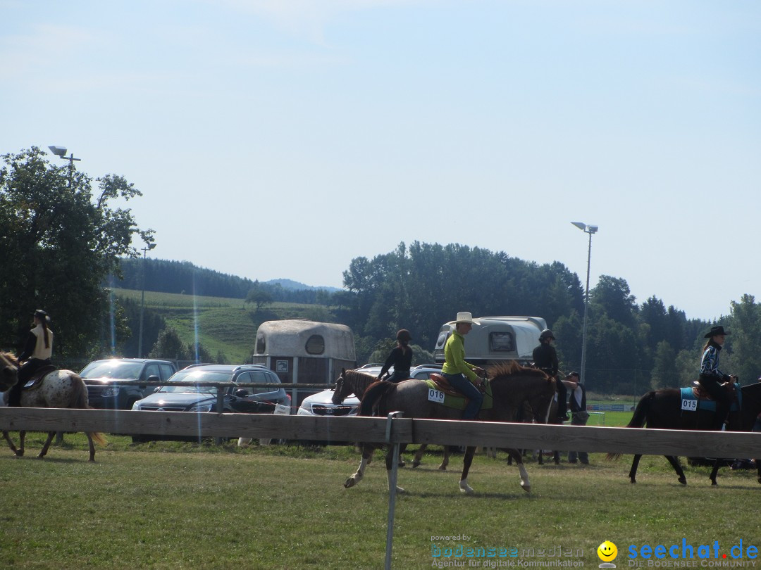 Westernreiter D-Turnier: Aach-Linz am Bodensee, 18.08.2013