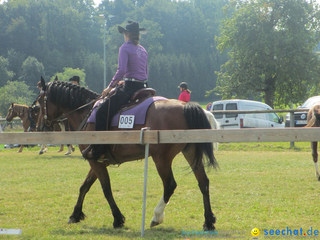 Westernreiter D-Turnier: Aach-Linz am Bodensee, 18.08.2013