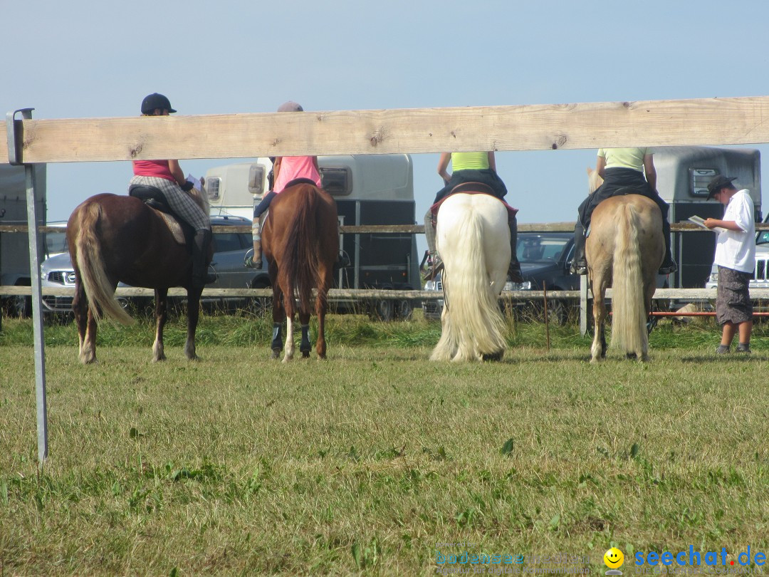 Westernreiter D-Turnier: Aach-Linz am Bodensee, 18.08.2013