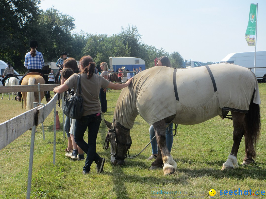 Westernreiter D-Turnier: Aach-Linz am Bodensee, 18.08.2013