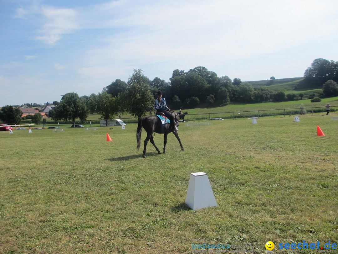 Westernreiter D-Turnier: Aach-Linz am Bodensee, 18.08.2013