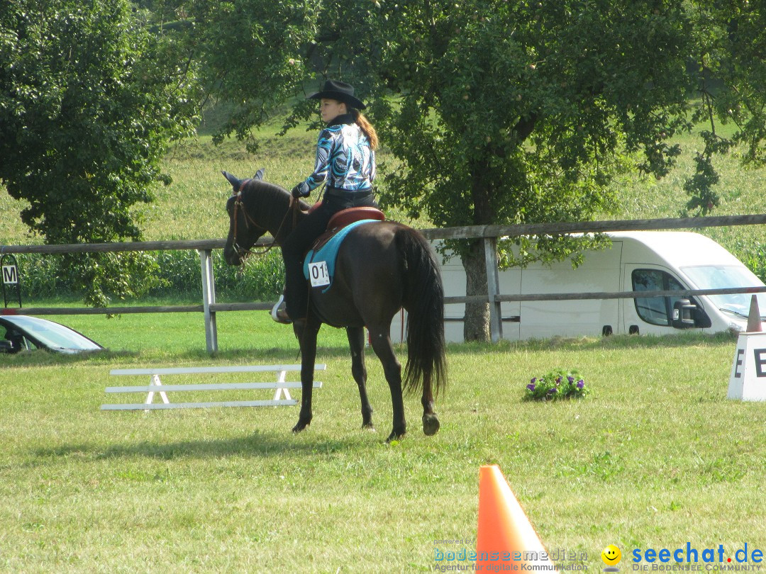 Westernreiter D-Turnier: Aach-Linz am Bodensee, 18.08.2013