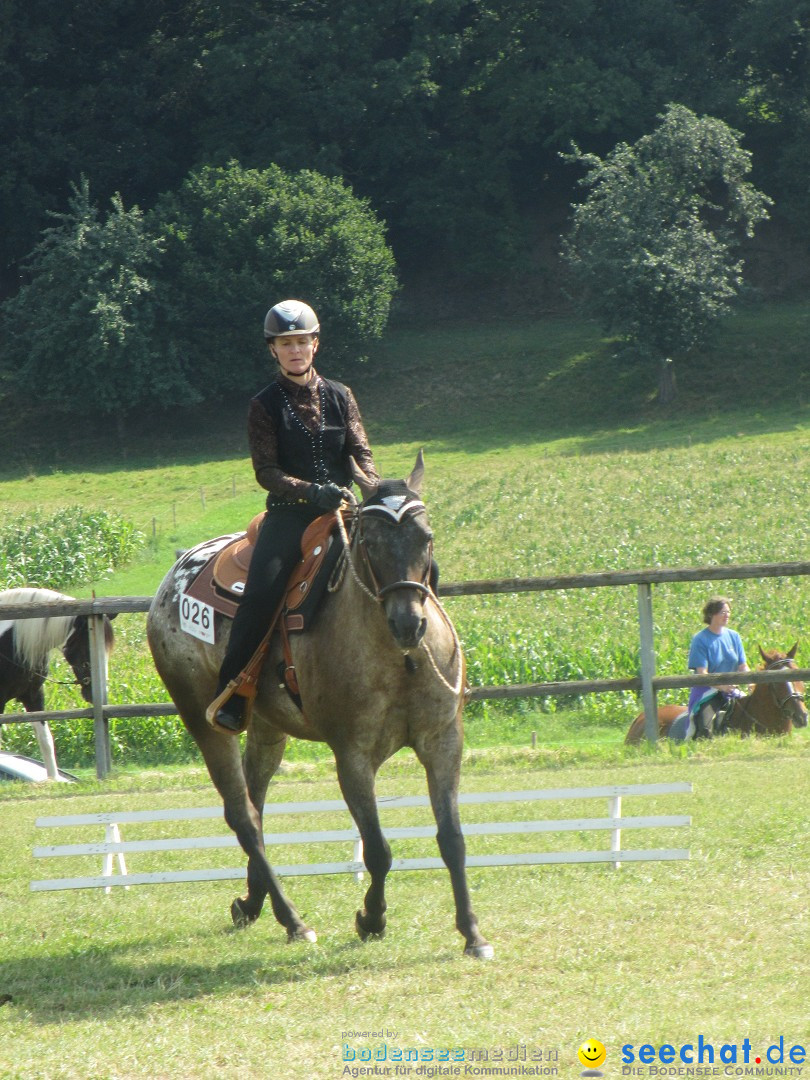 Westernreiter D-Turnier: Aach-Linz am Bodensee, 18.08.2013