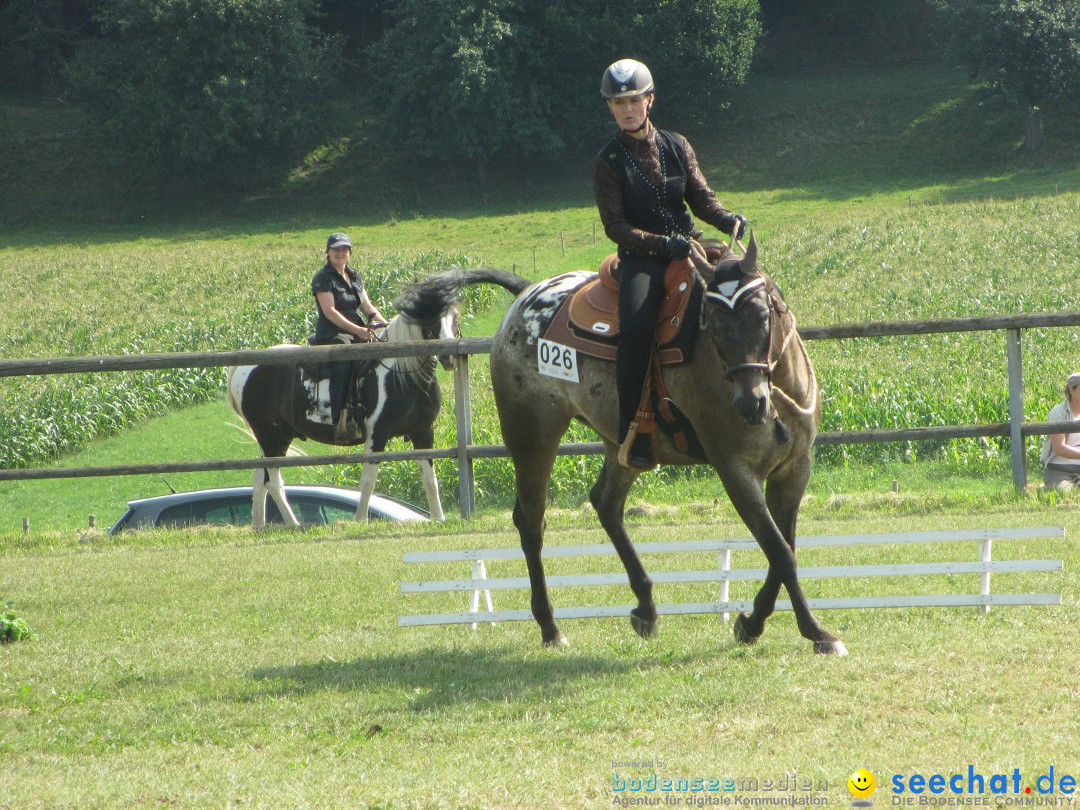 Westernreiter D-Turnier: Aach-Linz am Bodensee, 18.08.2013