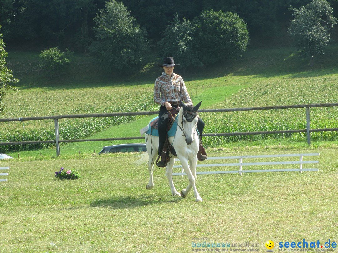 Westernreiter D-Turnier: Aach-Linz am Bodensee, 18.08.2013