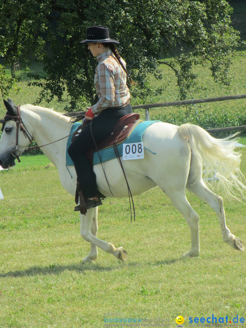 Westernreiter D-Turnier: Aach-Linz am Bodensee, 18.08.2013