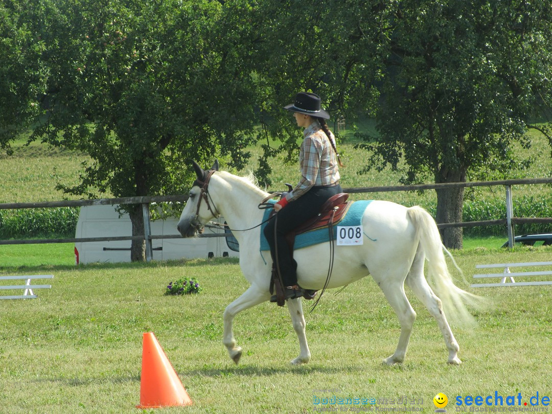 Westernreiter D-Turnier: Aach-Linz am Bodensee, 18.08.2013