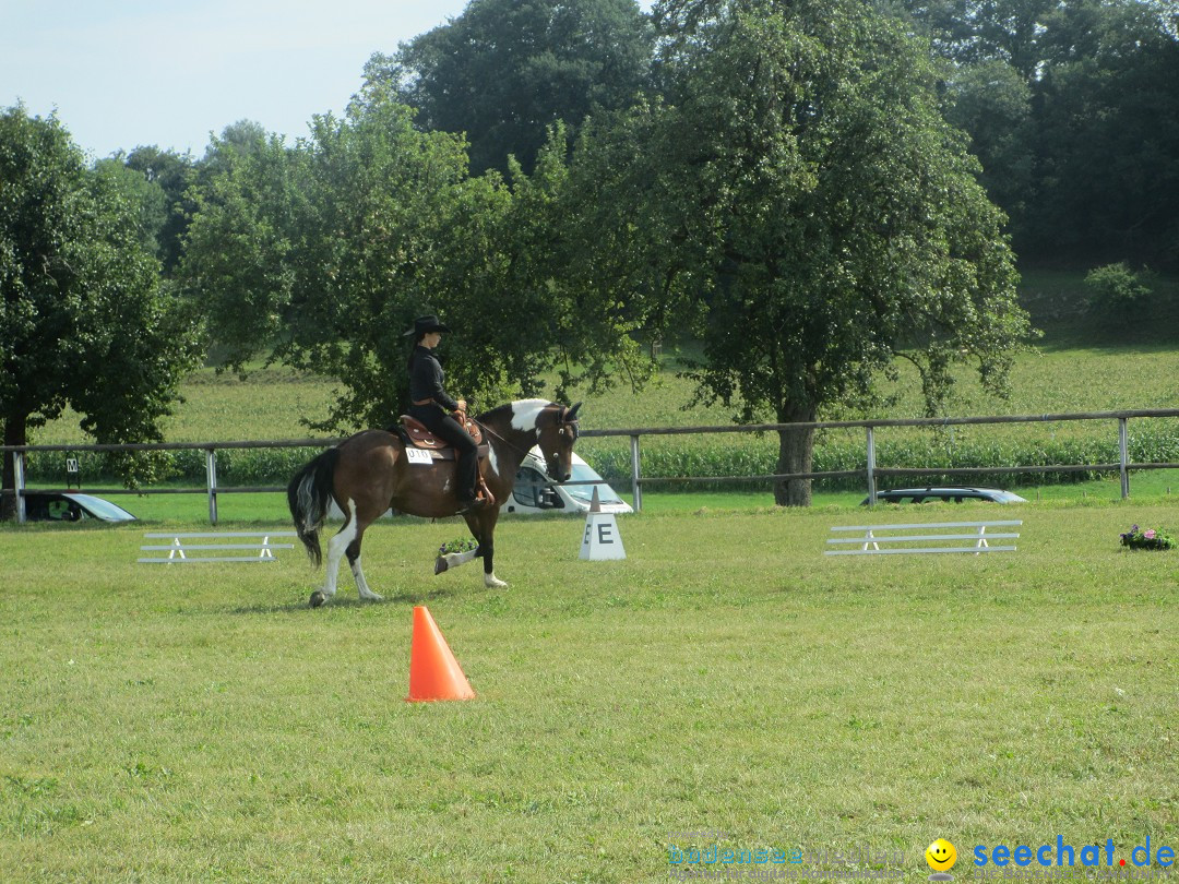 Westernreiter D-Turnier: Aach-Linz am Bodensee, 18.08.2013