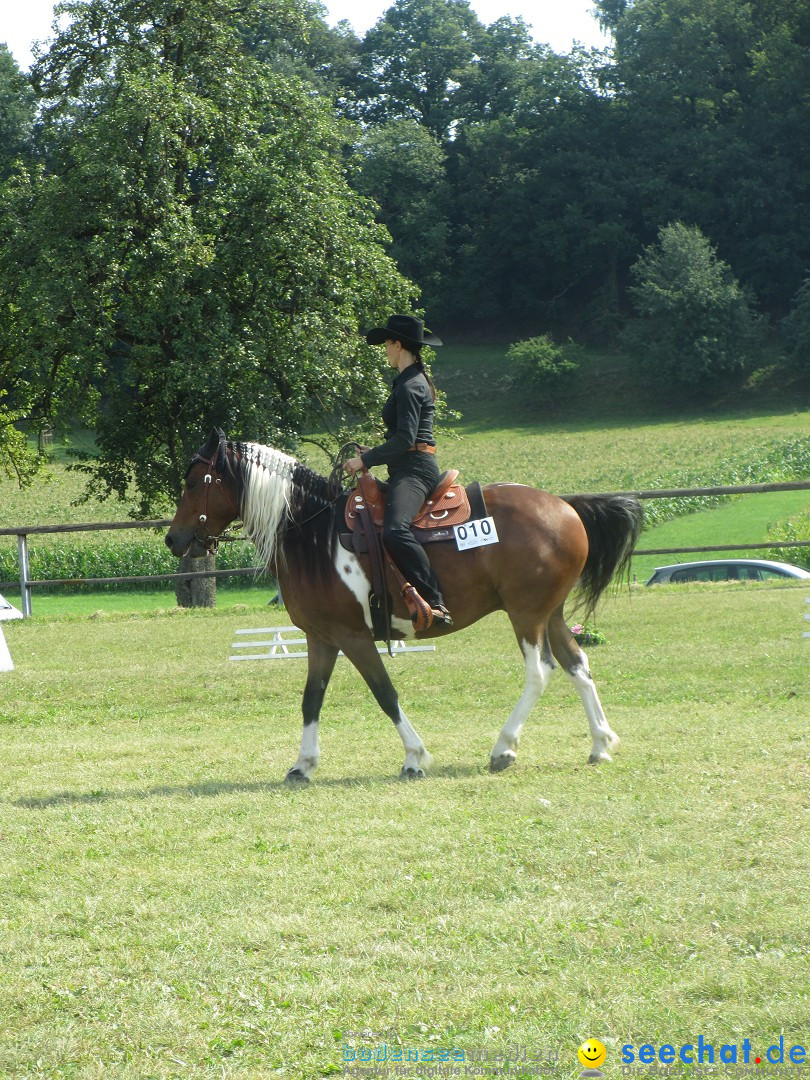 Westernreiter D-Turnier: Aach-Linz am Bodensee, 18.08.2013