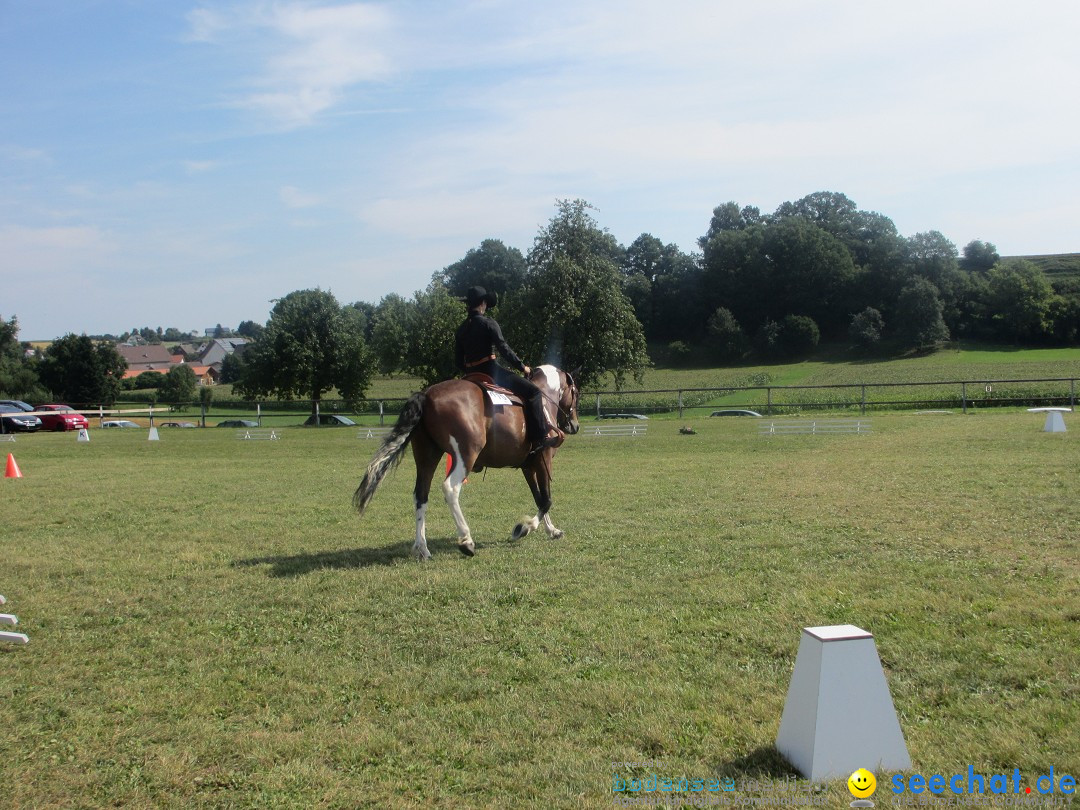 Westernreiter D-Turnier: Aach-Linz am Bodensee, 18.08.2013