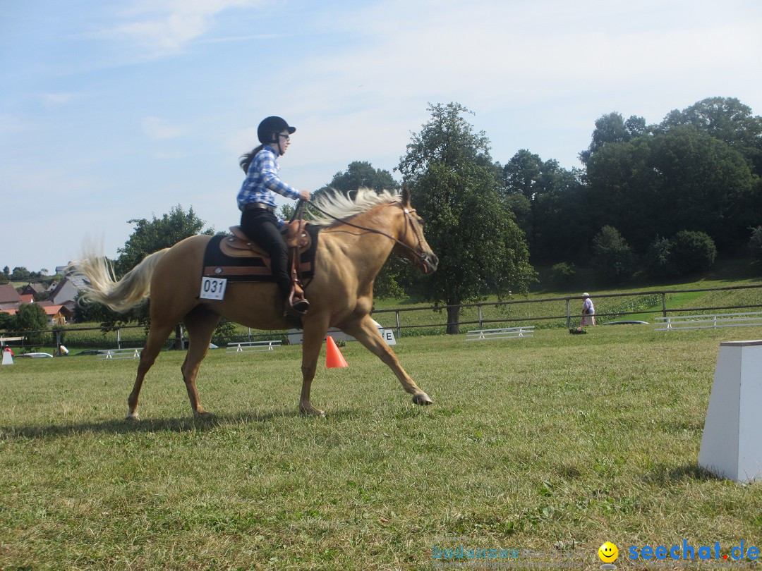 Westernreiter D-Turnier: Aach-Linz am Bodensee, 18.08.2013