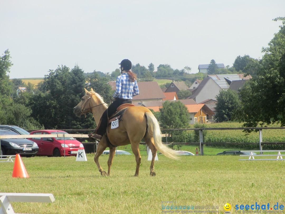 Westernreiter D-Turnier: Aach-Linz am Bodensee, 18.08.2013