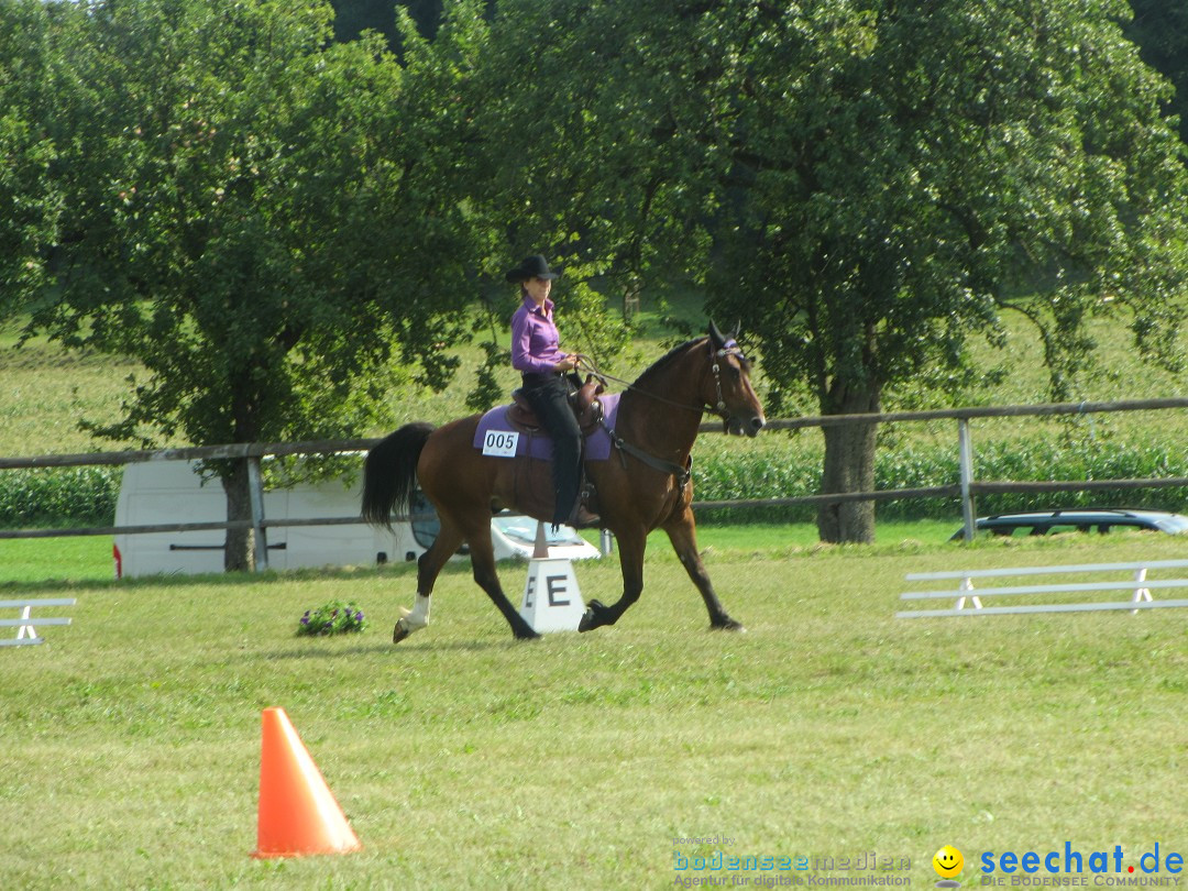 Westernreiter D-Turnier: Aach-Linz am Bodensee, 18.08.2013