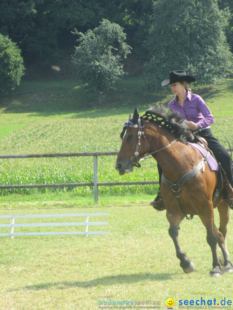 Westernreiter D-Turnier: Aach-Linz am Bodensee, 18.08.2013