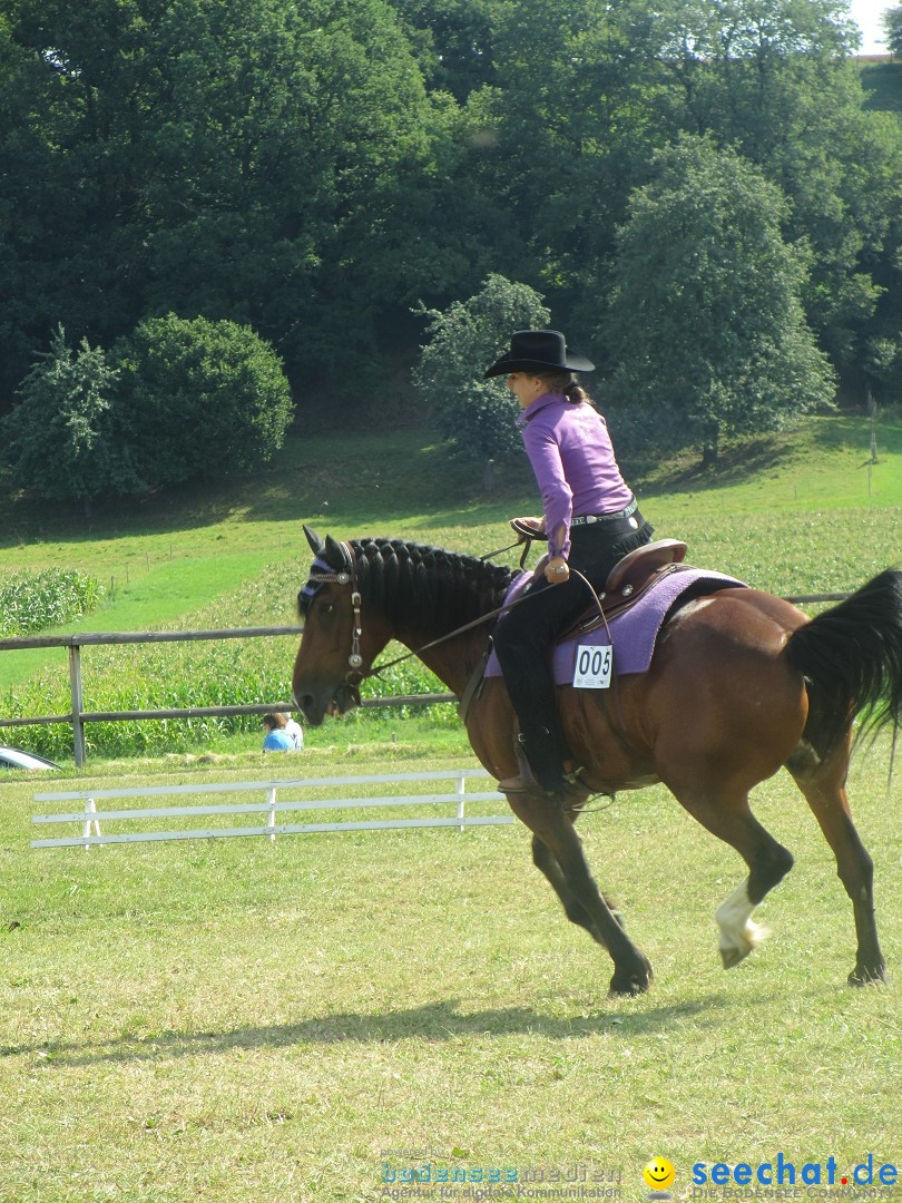 Westernreiter D-Turnier: Aach-Linz am Bodensee, 18.08.2013