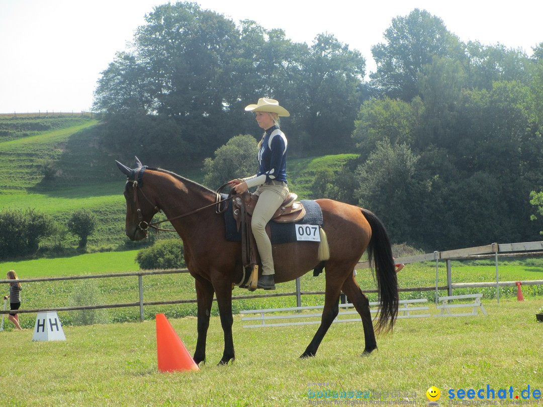 Westernreiter D-Turnier: Aach-Linz am Bodensee, 18.08.2013