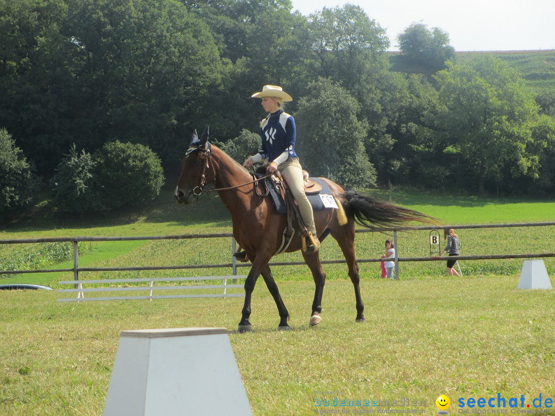 Westernreiter D-Turnier: Aach-Linz am Bodensee, 18.08.2013