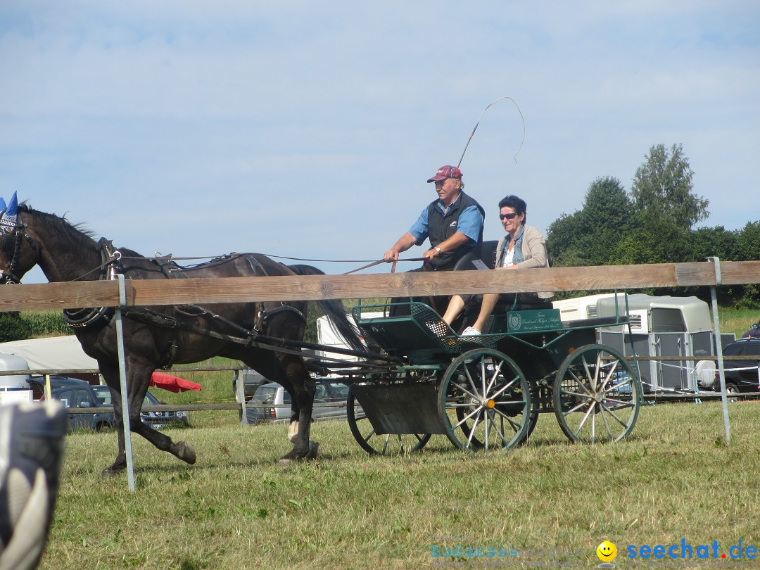 Westernreiter D-Turnier: Aach-Linz am Bodensee, 18.08.2013