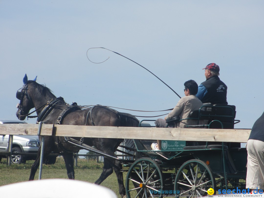 Westernreiter D-Turnier: Aach-Linz am Bodensee, 18.08.2013