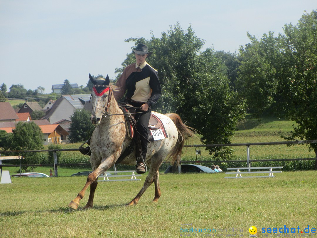 Westernreiter D-Turnier: Aach-Linz am Bodensee, 18.08.2013