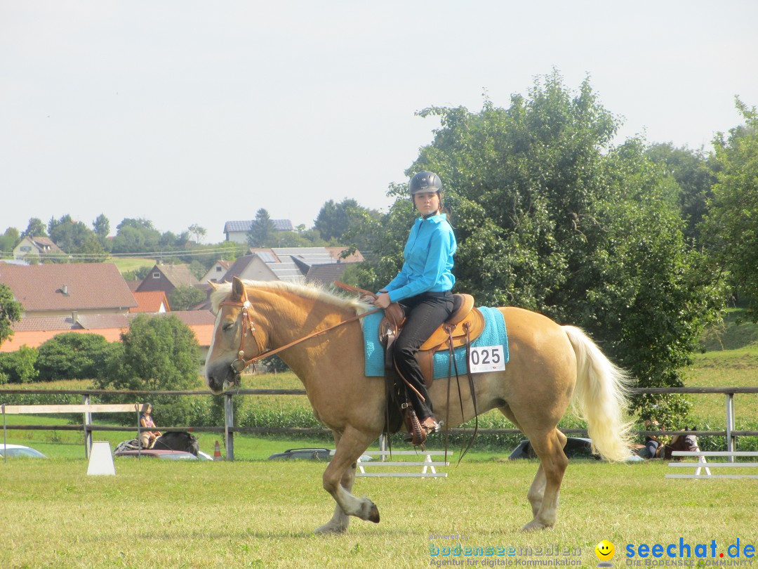 Westernreiter D-Turnier: Aach-Linz am Bodensee, 18.08.2013