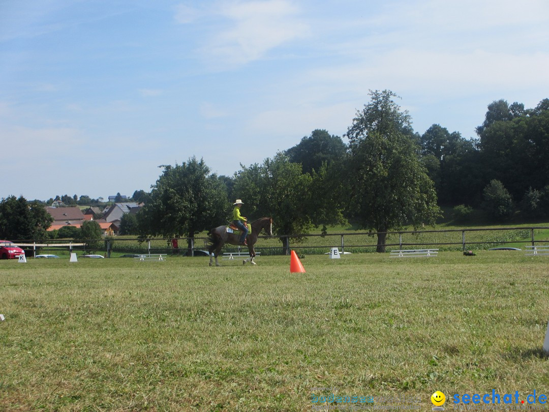 Westernreiter D-Turnier: Aach-Linz am Bodensee, 18.08.2013