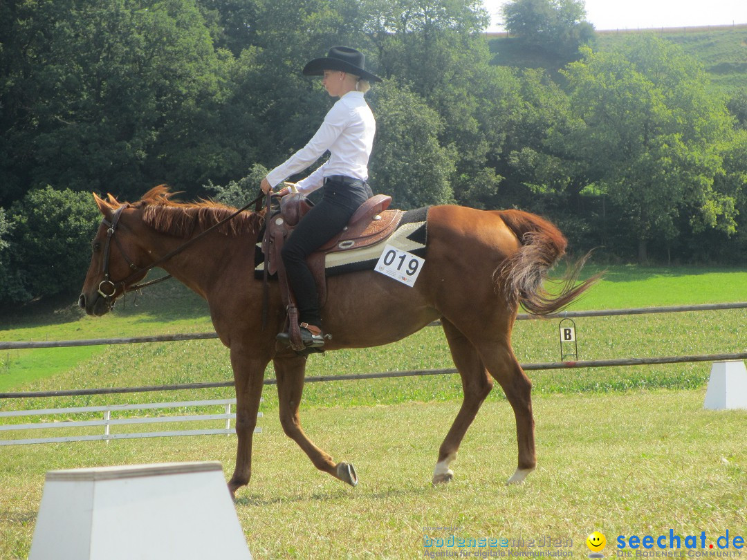 Westernreiter D-Turnier: Aach-Linz am Bodensee, 18.08.2013