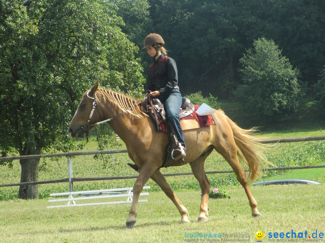 Westernreiter D-Turnier: Aach-Linz am Bodensee, 18.08.2013