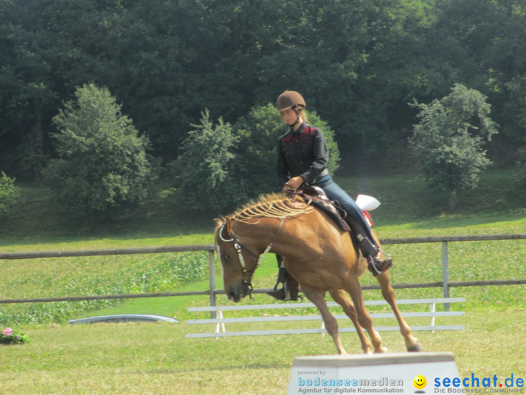 Westernreiter D-Turnier: Aach-Linz am Bodensee, 18.08.2013