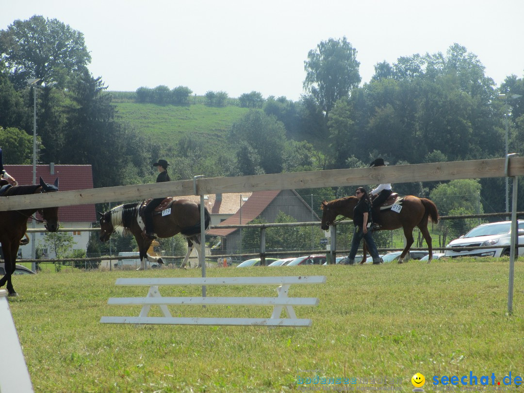 Westernreiter D-Turnier: Aach-Linz am Bodensee, 18.08.2013