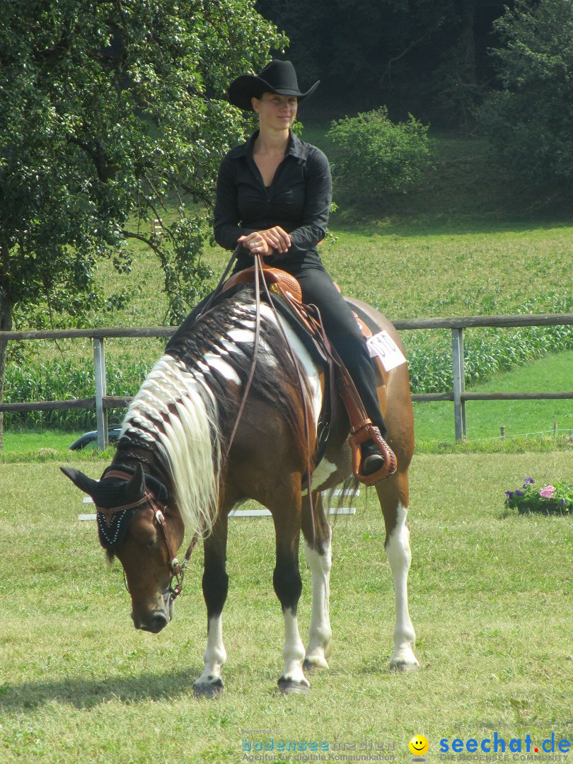 Westernreiter D-Turnier: Aach-Linz am Bodensee, 18.08.2013