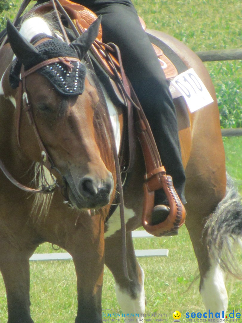 Westernreiter D-Turnier: Aach-Linz am Bodensee, 18.08.2013