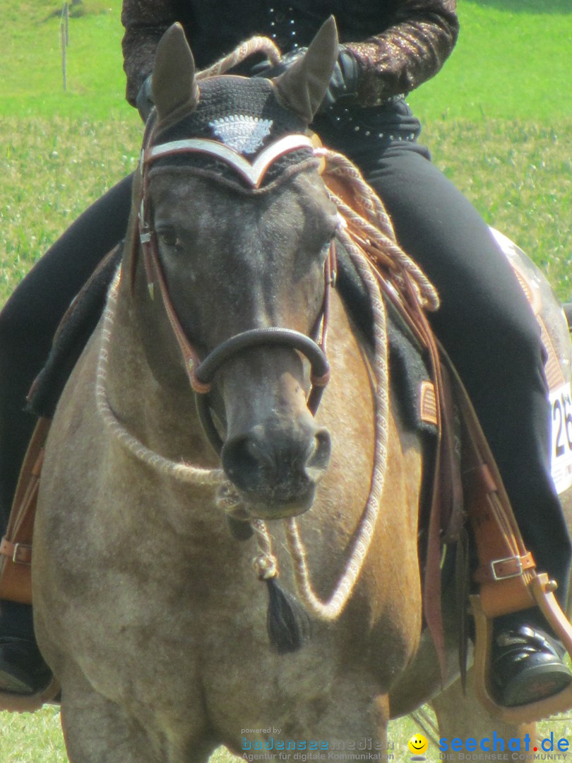 Westernreiter D-Turnier: Aach-Linz am Bodensee, 18.08.2013