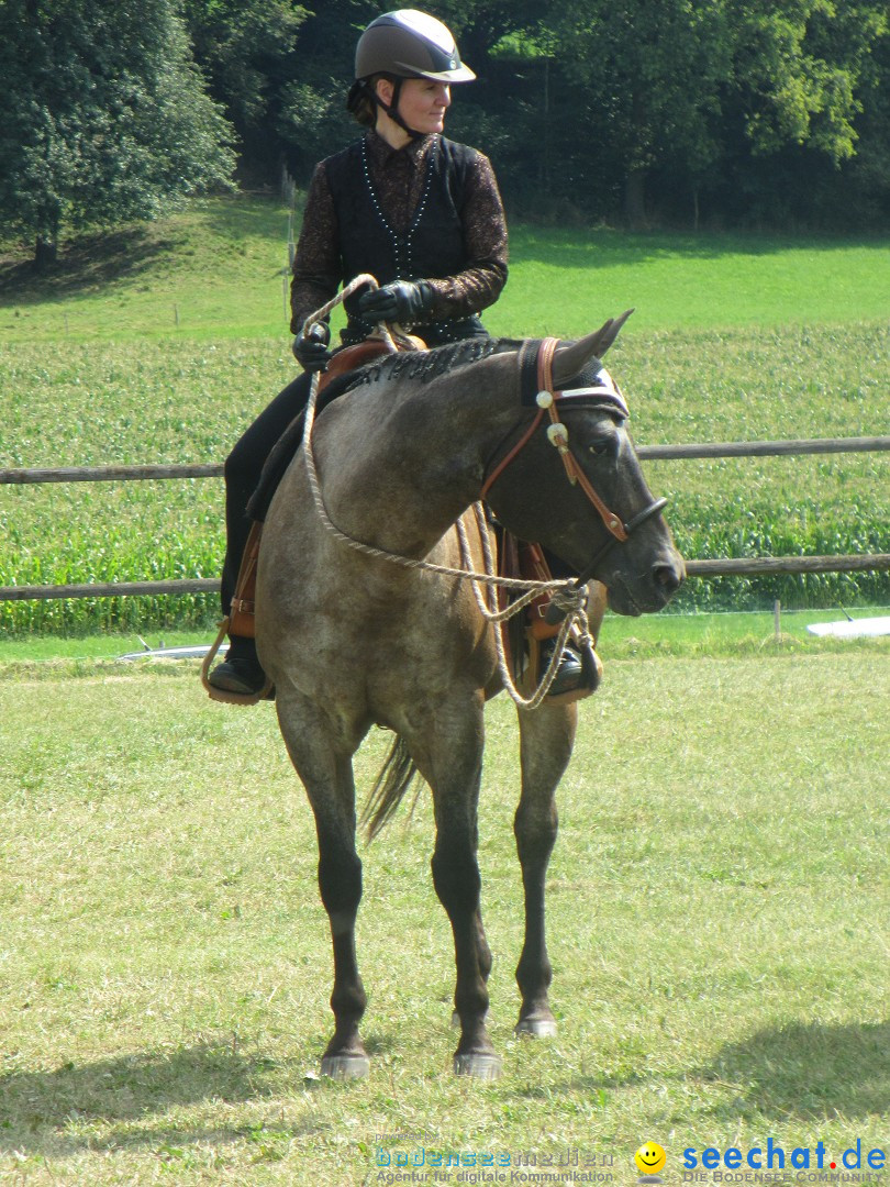 Westernreiter D-Turnier: Aach-Linz am Bodensee, 18.08.2013