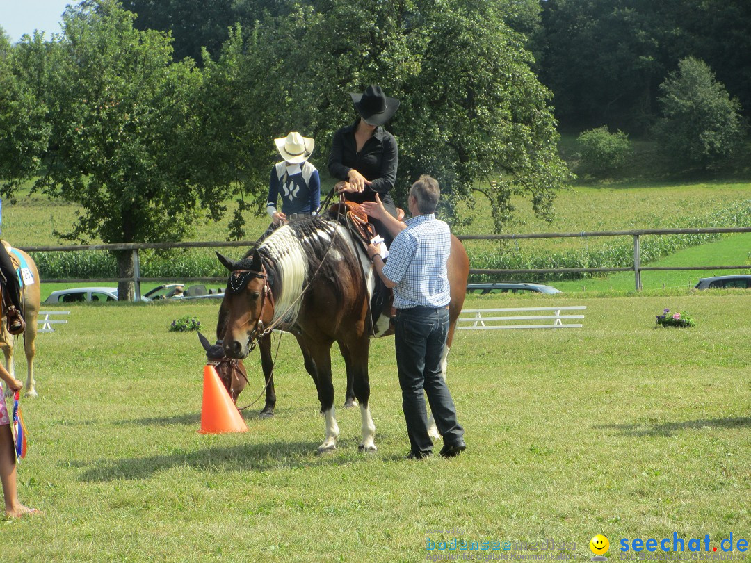 Westernreiter D-Turnier: Aach-Linz am Bodensee, 18.08.2013