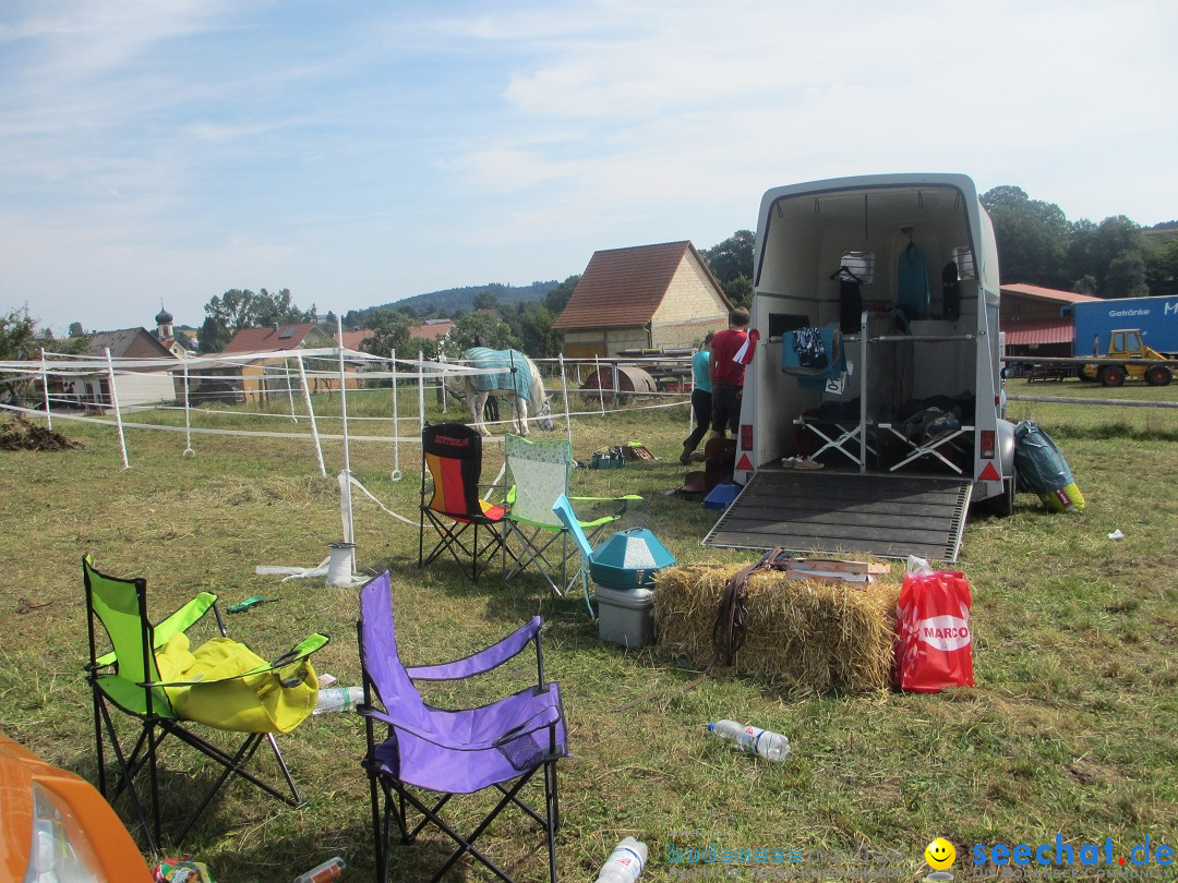 Westernreiter D-Turnier: Aach-Linz am Bodensee, 18.08.2013