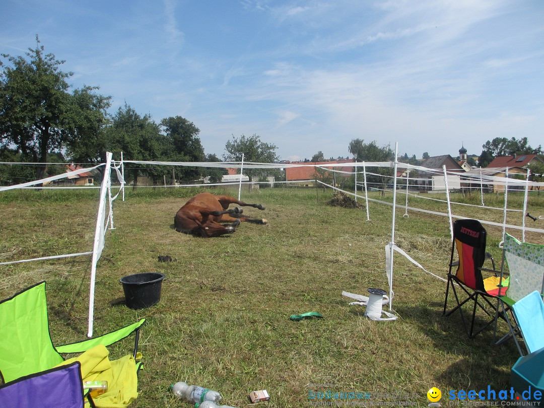 Westernreiter D-Turnier: Aach-Linz am Bodensee, 18.08.2013