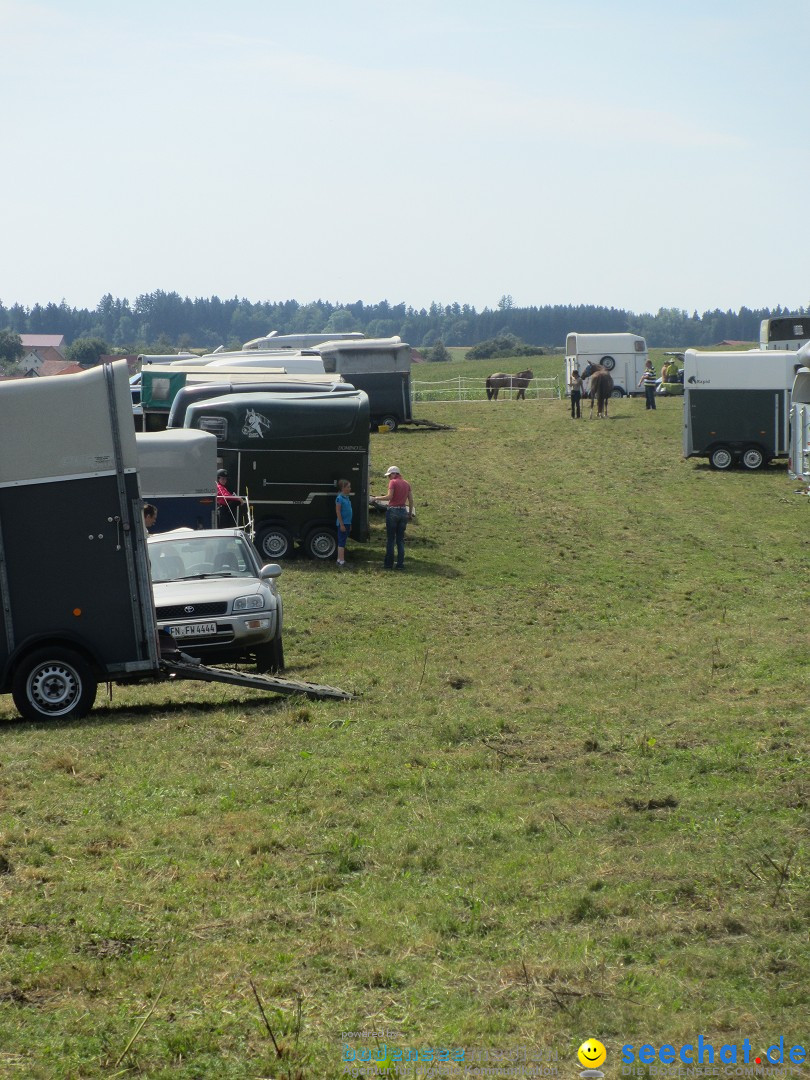 Westernreiter D-Turnier: Aach-Linz am Bodensee, 18.08.2013