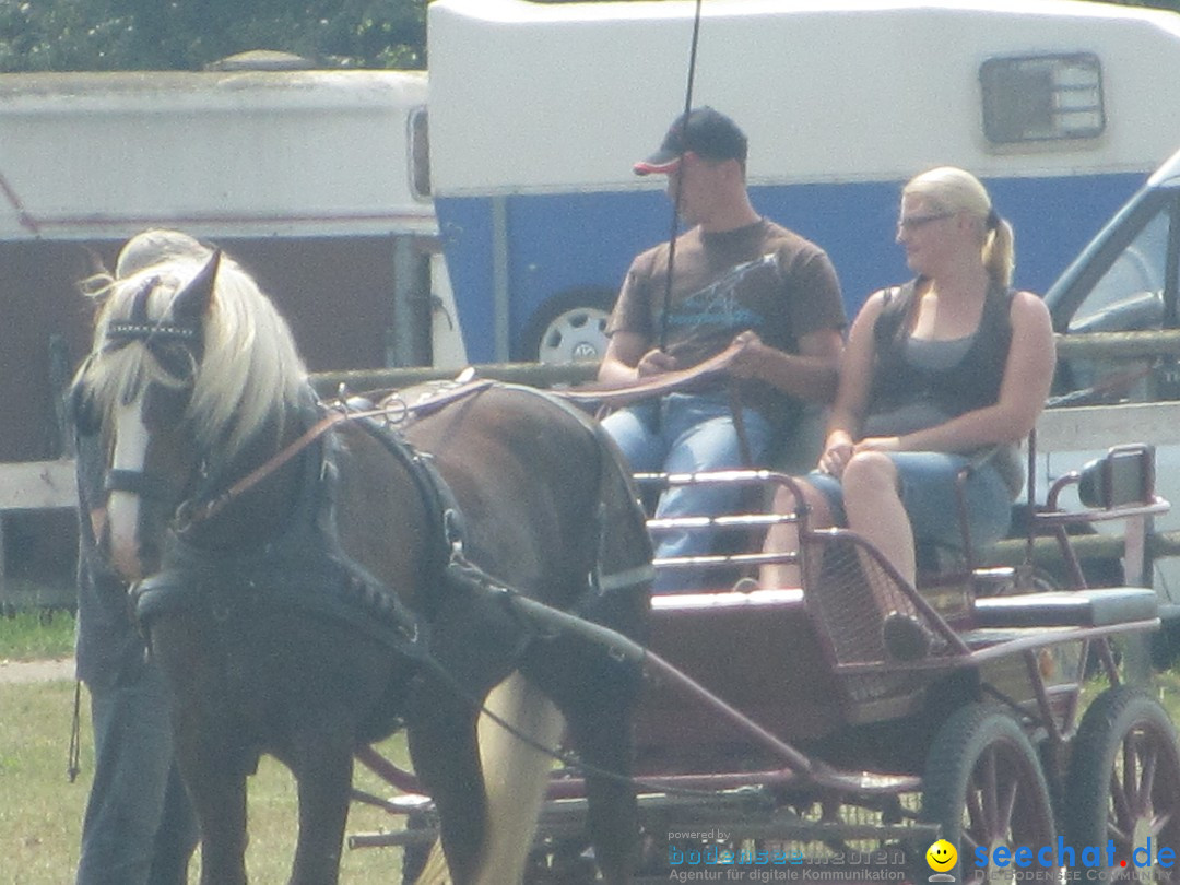 Westernreiter D-Turnier: Aach-Linz am Bodensee, 18.08.2013