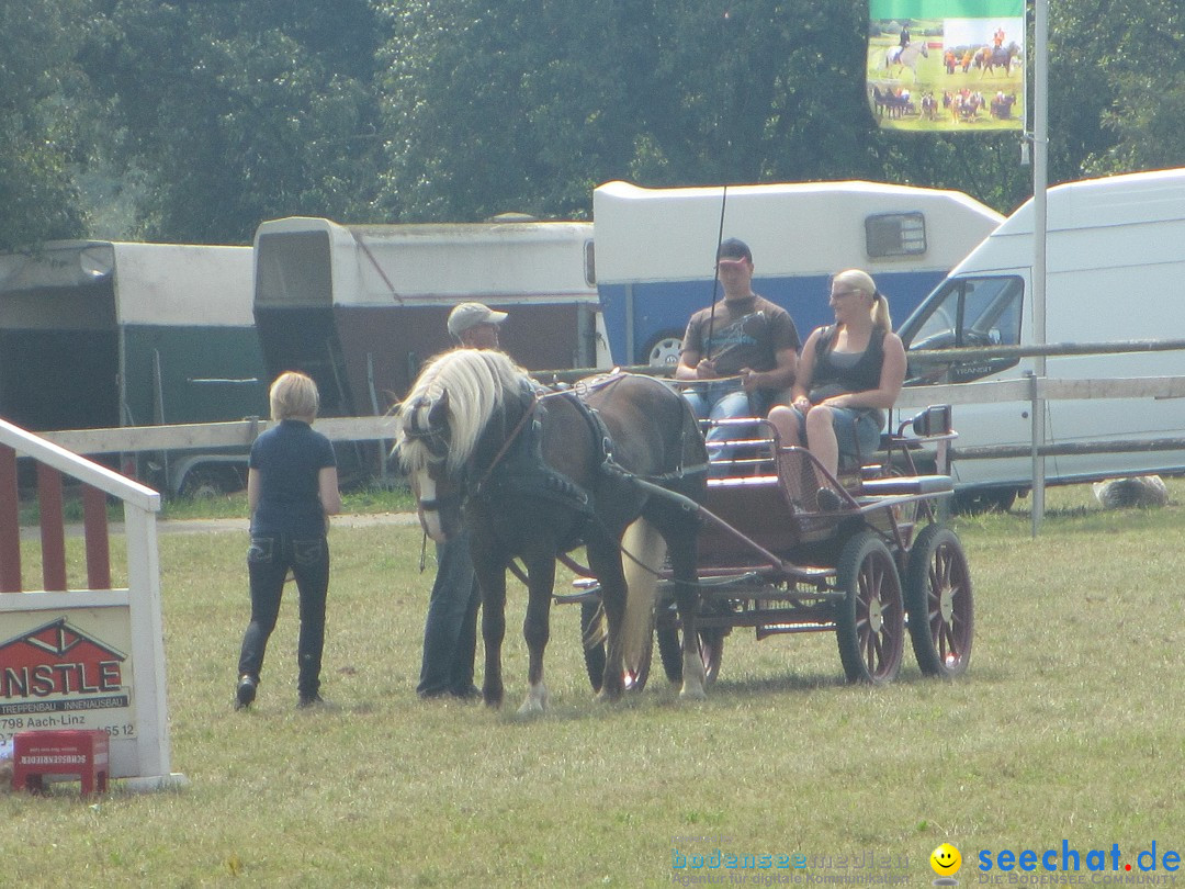 Westernreiter D-Turnier: Aach-Linz am Bodensee, 18.08.2013