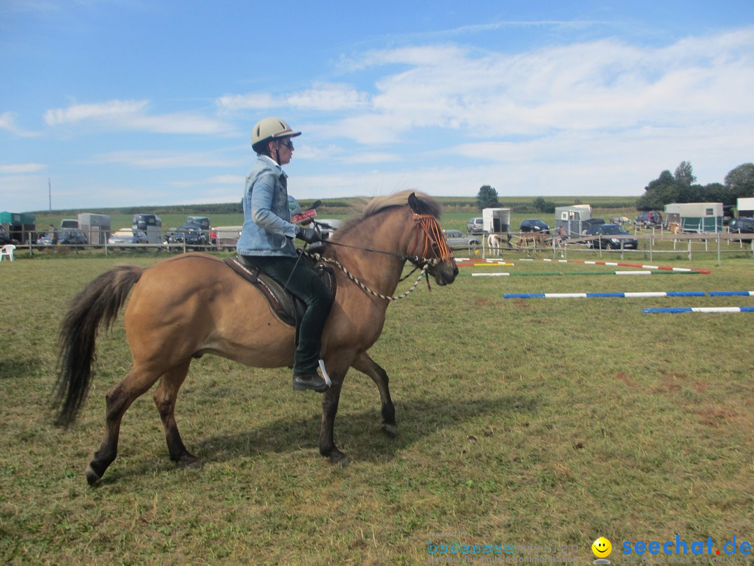 Westernreiter D-Turnier: Aach-Linz am Bodensee, 18.08.2013