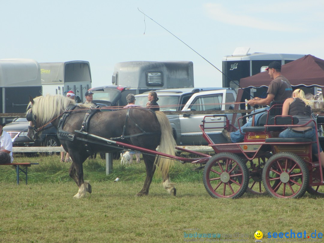 Westernreiter D-Turnier: Aach-Linz am Bodensee, 18.08.2013