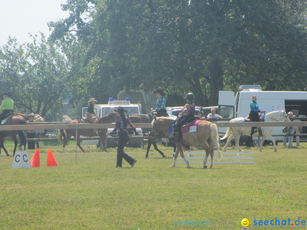 Westernreiter D-Turnier: Aach-Linz am Bodensee, 18.08.2013