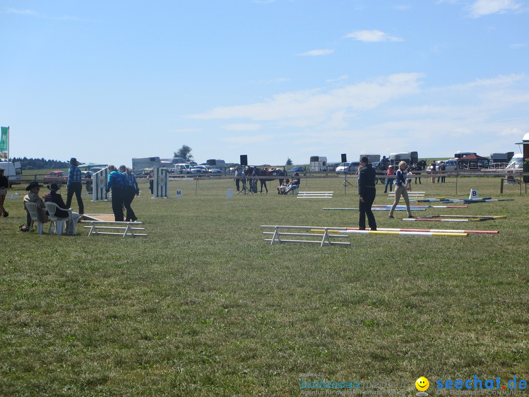 Westernreiter D-Turnier: Aach-Linz am Bodensee, 18.08.2013