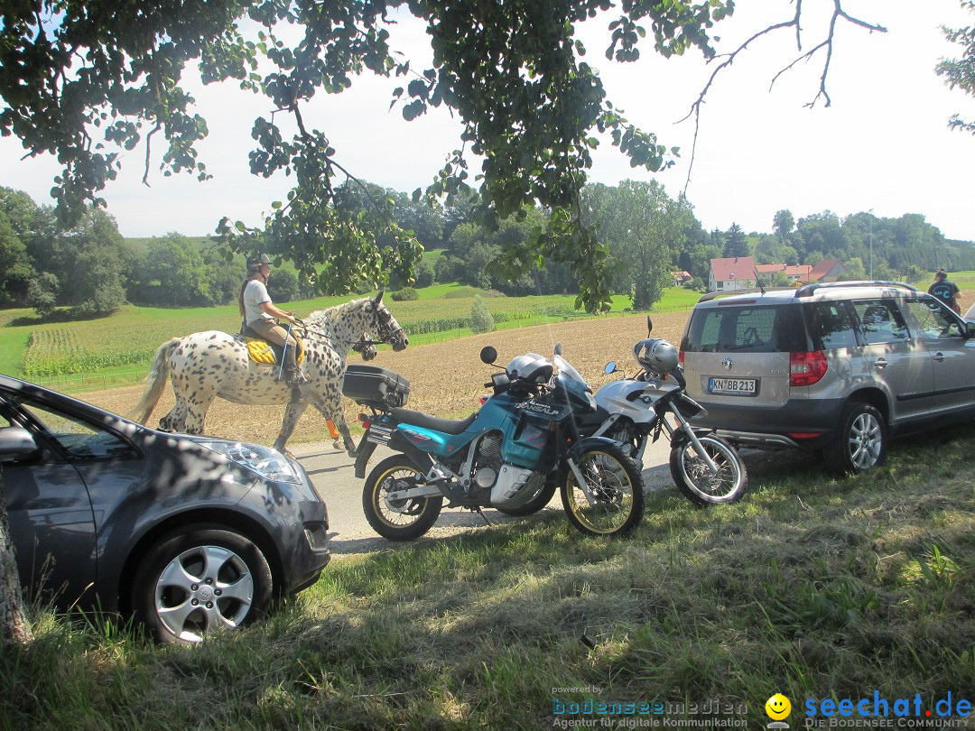 Westernreiter D-Turnier: Aach-Linz am Bodensee, 18.08.2013